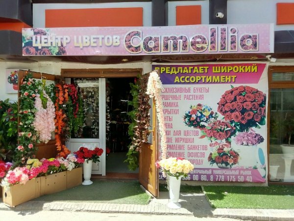 Камелия Магазин Цветов