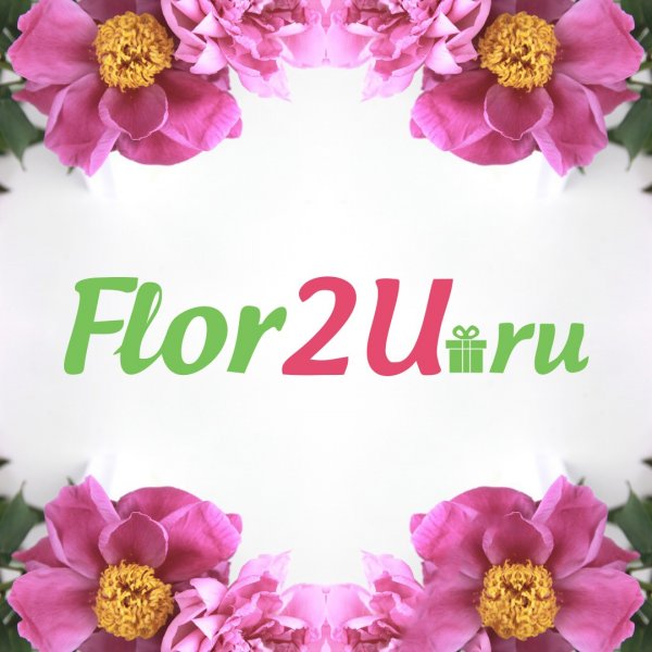 Flor2u, салон цветов,Игрушки,Владимир
