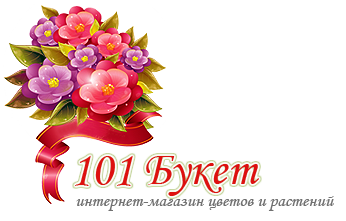101 Букет,Магазин цветов, Доставка цветов и букетов, Товары для интерьера,Красноярск
