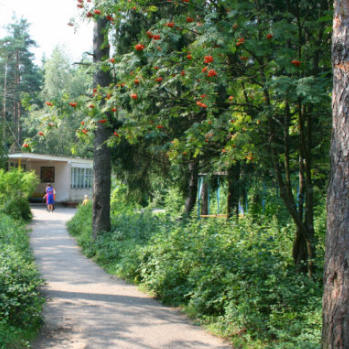 Детский лагерь Киржач (Радуга),Детский лагерь,Владимир