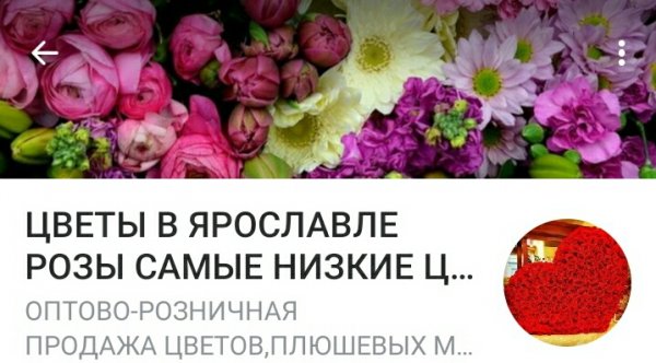 LUYS, цветочный магазин,Цветы,Ярославль