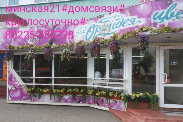 Магазин Обоев В Бобруйске