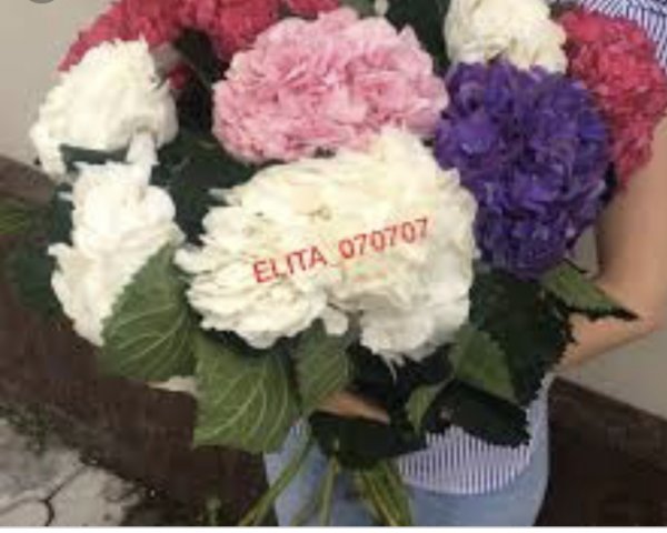 Elita,салон цветов,Нальчик