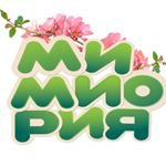 логотип компании Мимиория