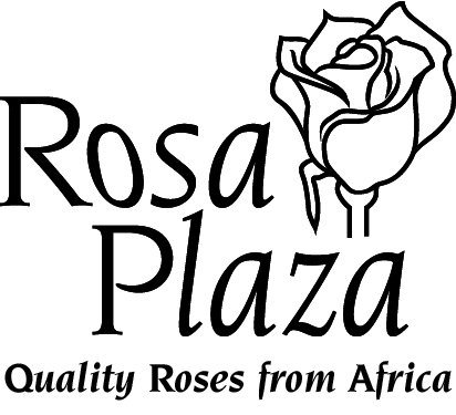 Роза Plaza