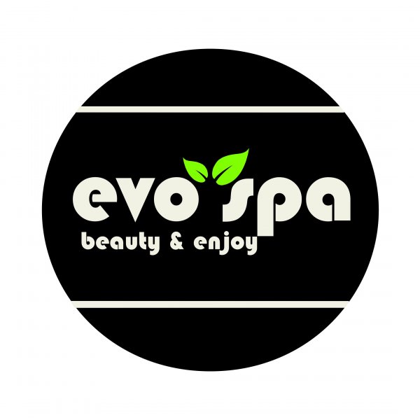 логотип компании EvoSpa