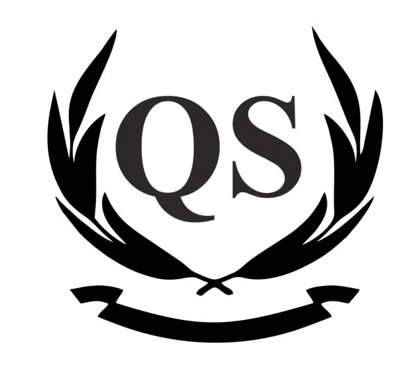 логотип компании Qs Live