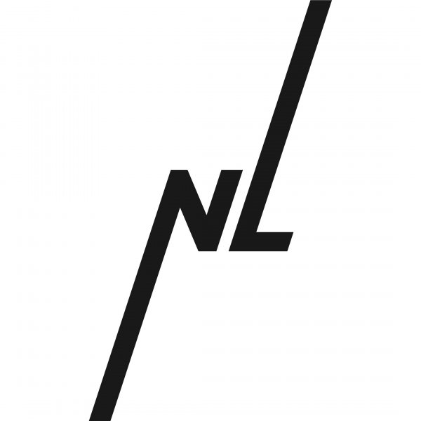 логотип компании NL international