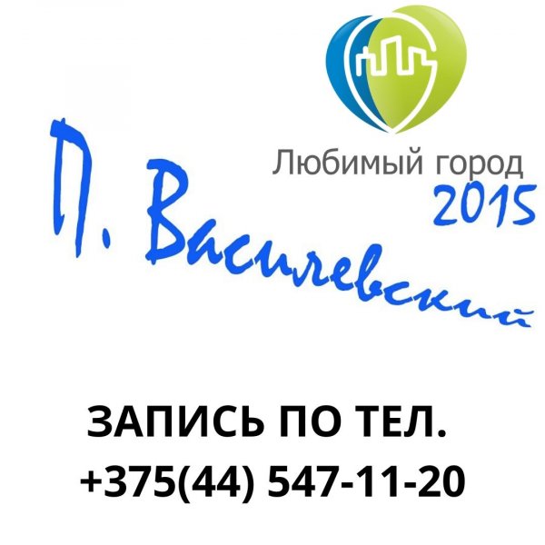 логотип компании ФУТБОЛЬНАЯ ШКОЛА имени Петра Василевского