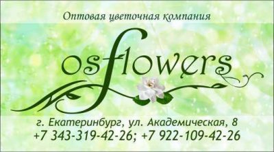 Оптовая цветочная компания OSFlowers,Магазин цветов, Доставка цветов и букетов, Оптовый магазин,Екатеринбург