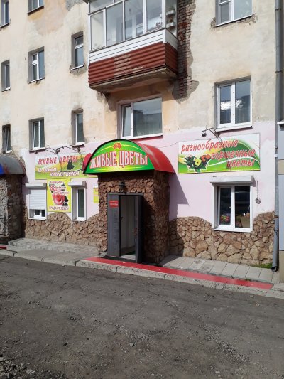 Живые цветы 