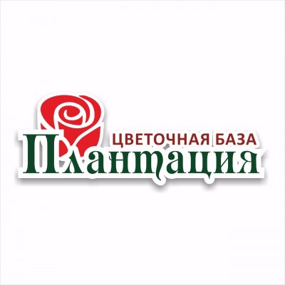 Цветочная база Плантация,Магазин цветов, Доставка цветов и букетов,Магадан