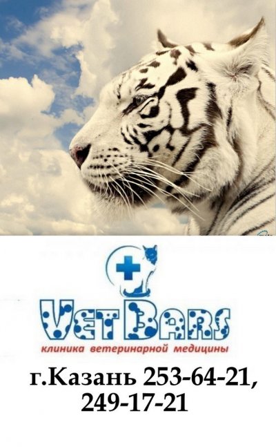 ВетБарс, клиника ветеринарной медицины,Ветеринарные клиники,,Зеленодольск