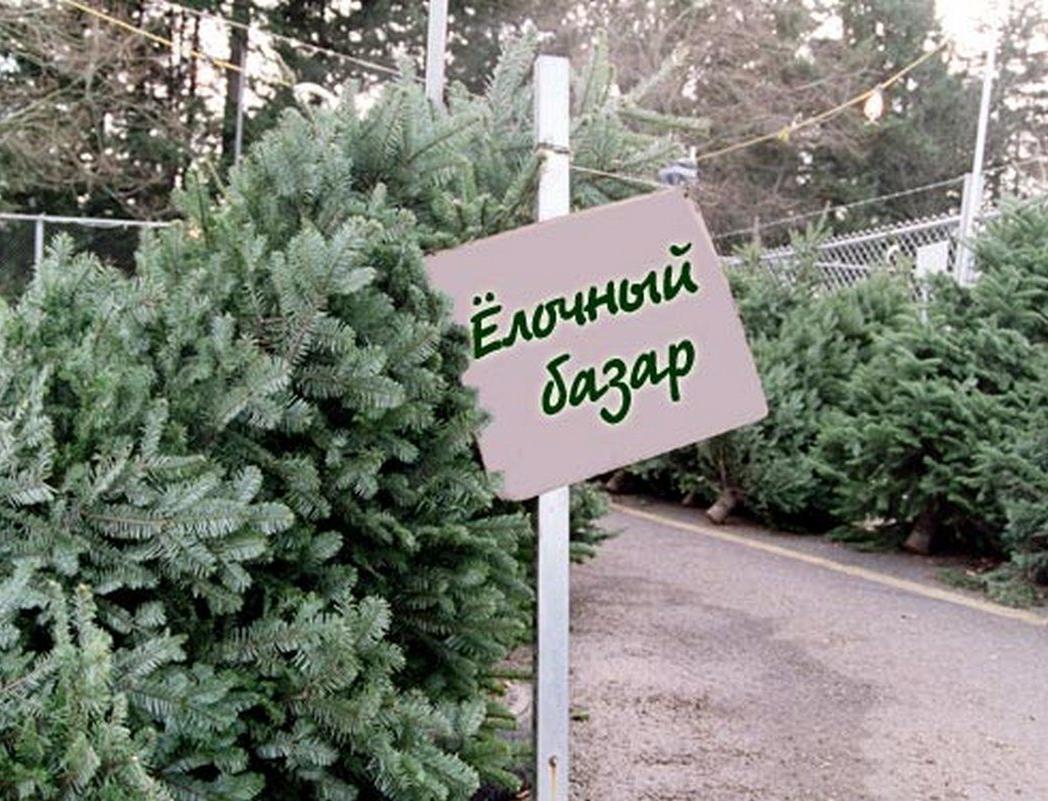 Открытие ёлочных базаров