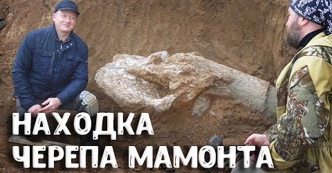 Раскопки черепа трогонтериевого мамонта в Приазовье: уникальная палеонтологическая находка