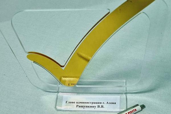Главу администрации Азова удостоили номинации «Золотая галочка»