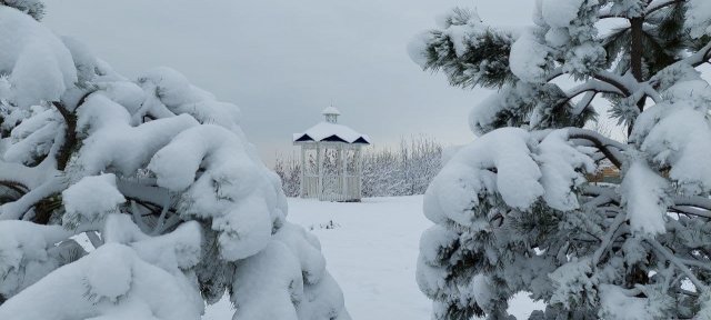 В выходные в Азове пообещали снег, ветер и мороз + 🎶