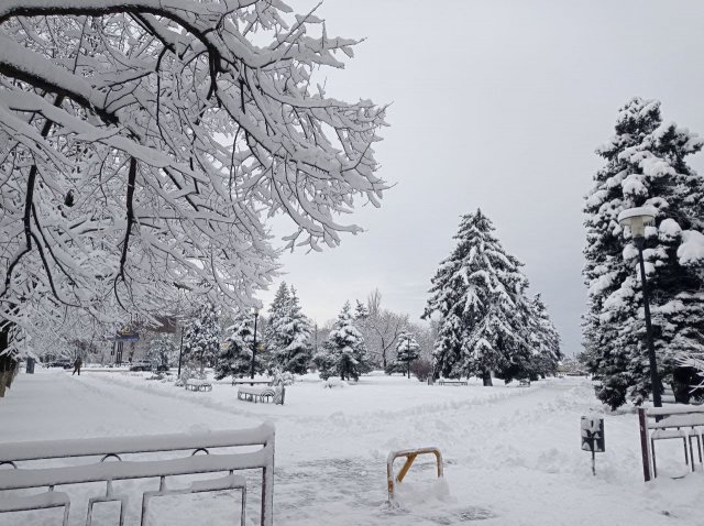 Жителям Азова пообещали сильные морозы и снежный коллапс+ 🎶