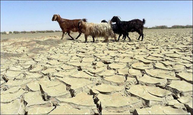 Засуха в Кызылординской области: Казгидромет выпустил первое штормовое предупреждение