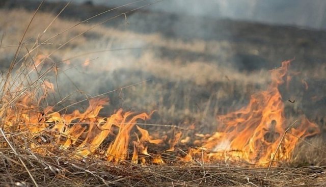 МЧС предупреждает о чрезвычайной пожароопасности в Азовском районе 