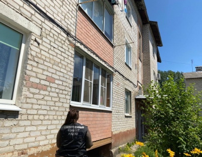 В Павловске 3-летний ребенок выпал из окна многоэтажки