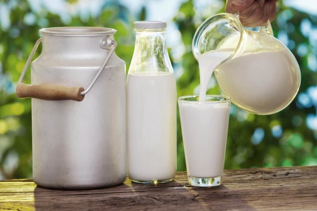 Губернатор поручил разобраться с производителями фальсифицированного молока на Дону