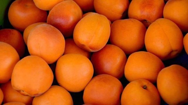 Диетолог рассказала о полезных свойствах абрикосов
