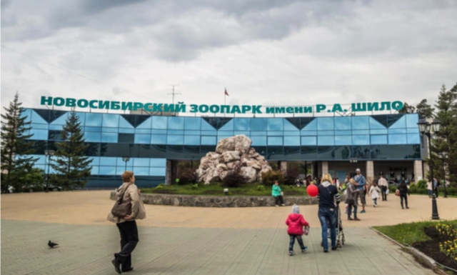 Новосибирский зоопарк решил потратить 650 тысяч на загадочного зверя