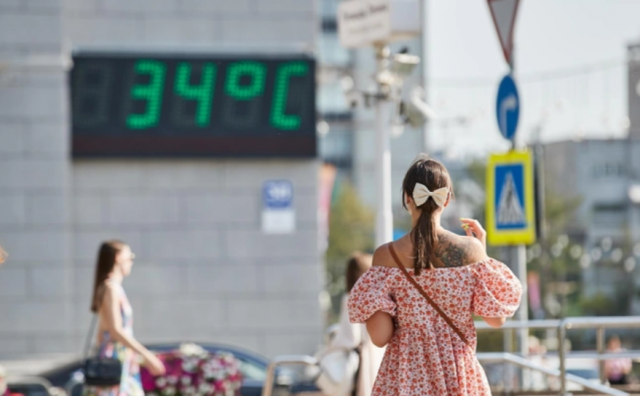 +30 градусов и выше: аномальная жара возвращается в Новосибирск — предупреждение от МЧС