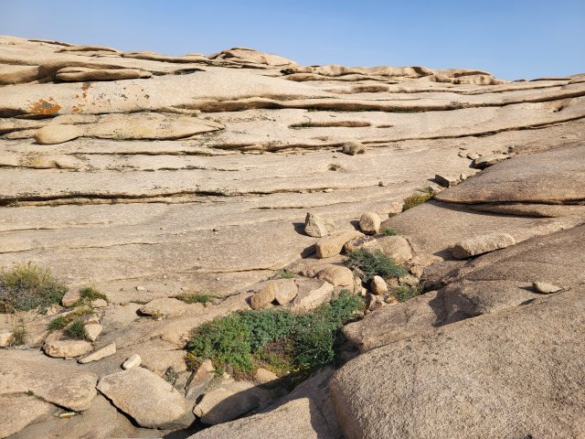 width=362