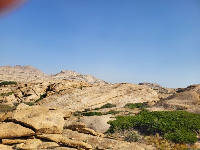 width=364