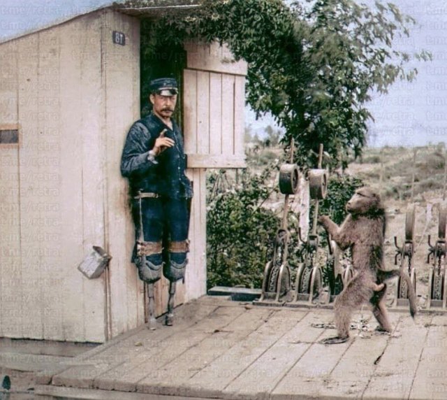 Интересные факты 