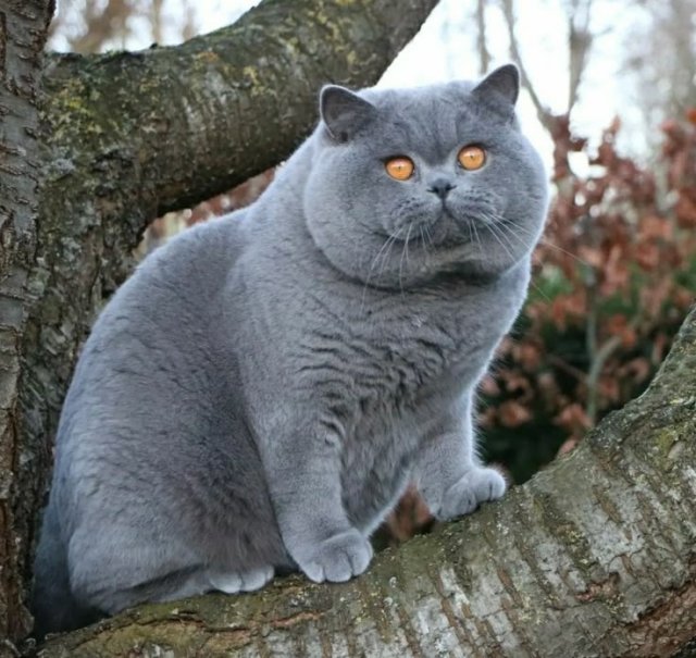 Интересные факты 