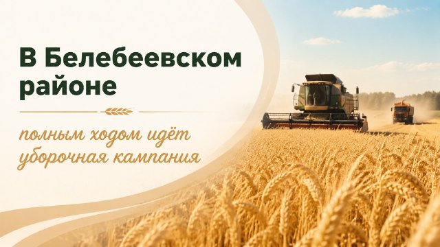 В Белебеевском районе полным ходом идёт уборочная кампания